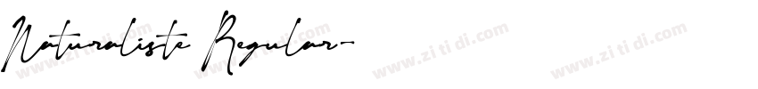 Naturaliste Regular字体转换